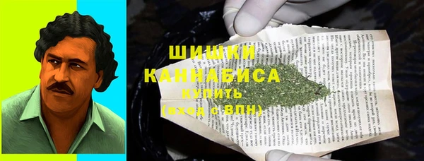 дживик Осинники