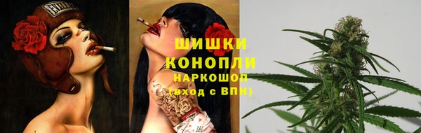 дживик Осинники
