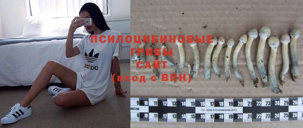 2c-b Видное