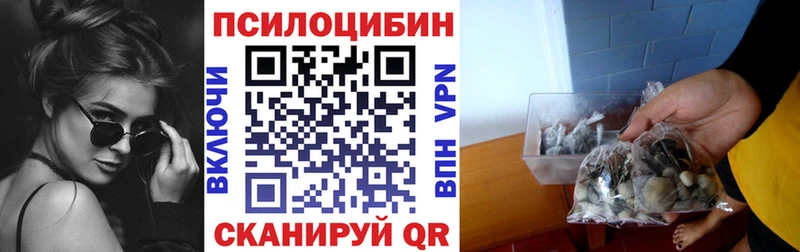 закладка  Артёмовский  Галлюциногенные грибы прущие грибы 